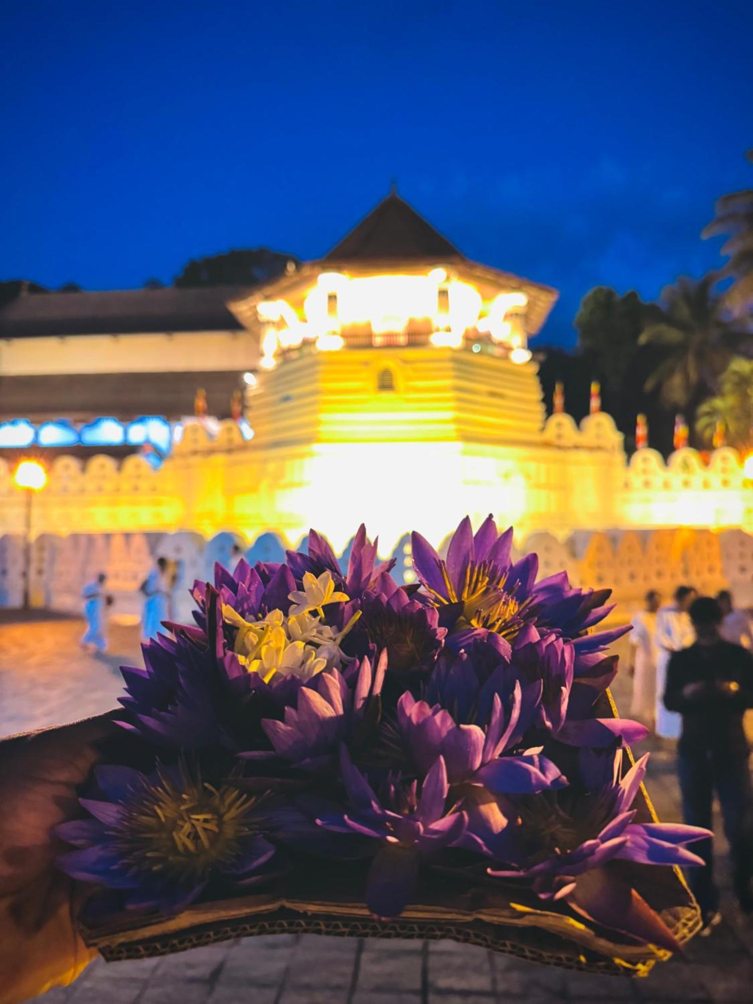 Mahaweli View Bungalow Kandy Esterno foto